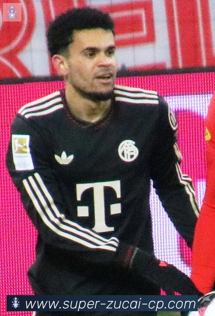 罗德里